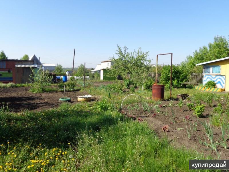 Купить Дачу В Садовод Новосибирск