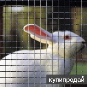 Сетка для клеток, сварная оцинкованная 25x25x1,8мм. Рулон 1x50м.