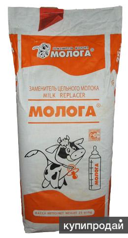 Заменитель цельного молока (ЗЦМ) Молога