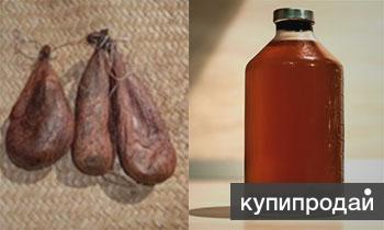 Бобровая струя