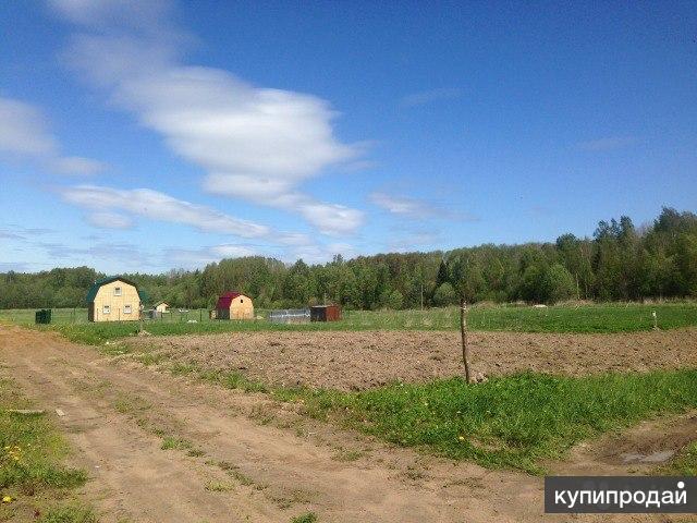 вербное воскресенье икона. воскресение участки. воскресение участки. с вербным воскресеньем. воскресение участки.