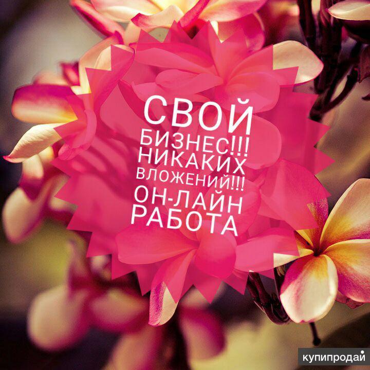 Пpодвижение и paзвитие бpендa в cоциaльных cетях
