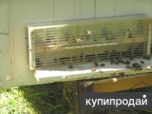 Приспособление для ловли матки при роение Приспособление для ловли матки при роение