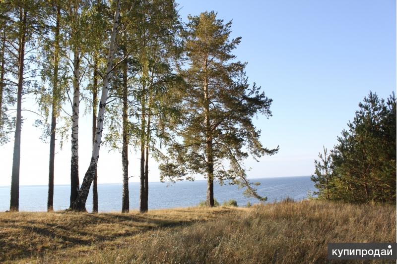 Купить Участок На Берегу Горьковского Водохранилища