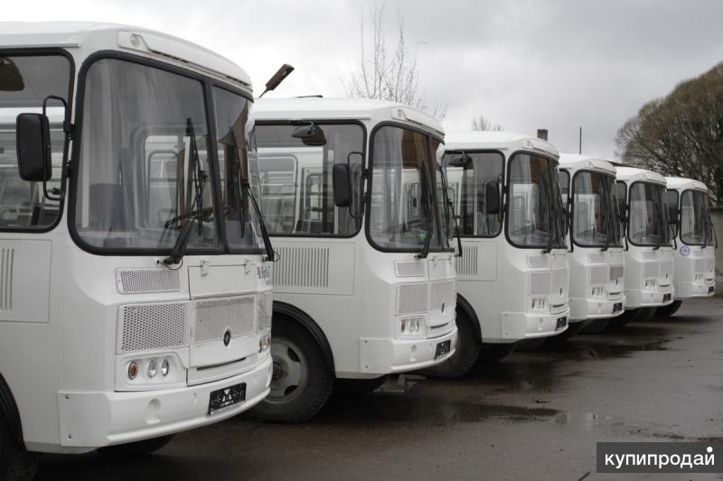 Автобус Паз 32053