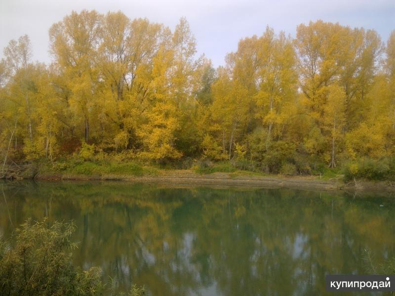 Верх Катунское Алтайский Край Купить Дом