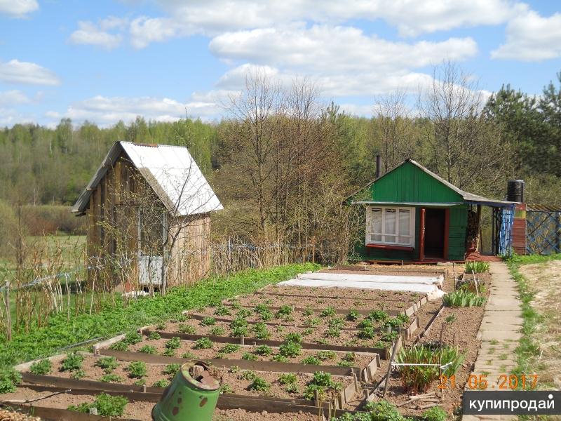 Дача в новгороде. Новгородские дачи. Участок и домик Великий Новгород д Руссо. Дом около Великого Новгорода. Инто дача велик.