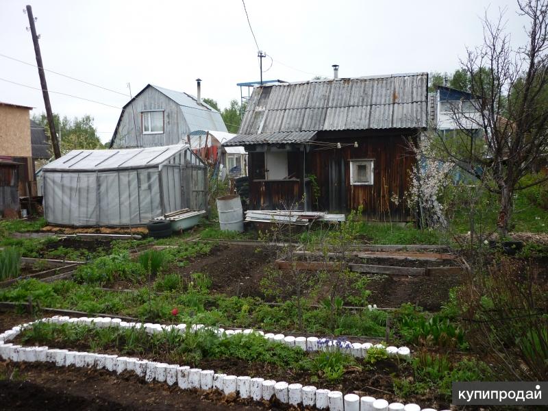 Купить Коллективный Сад В Кинешме