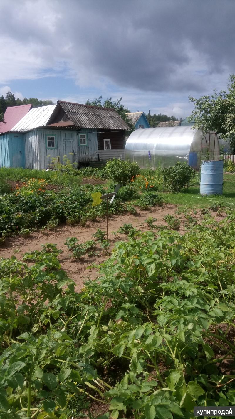 Купить Огород В Ижевске Массив Монтажник