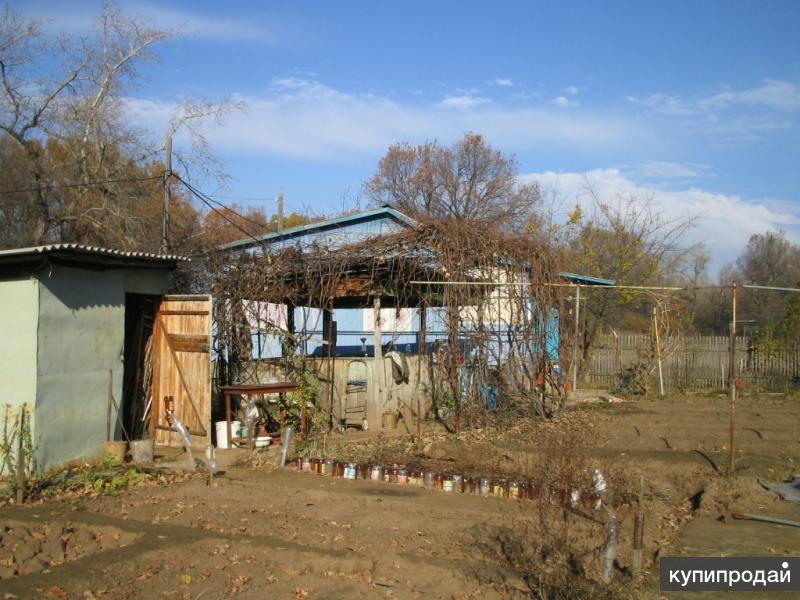 Погода садовое калмыкия сарпинский