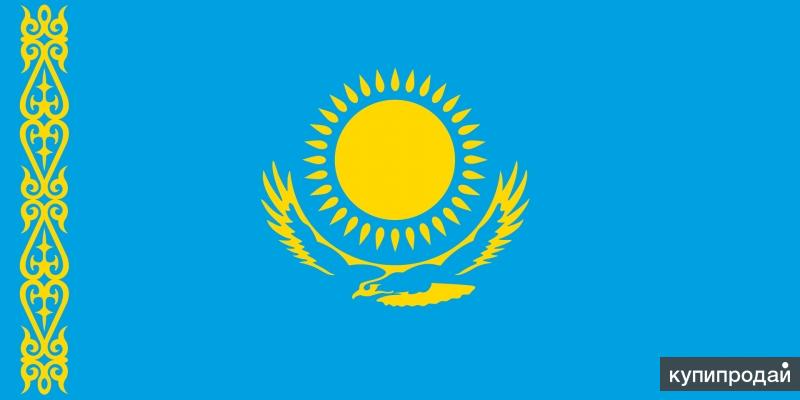 Профессиональный перевод казахский язык