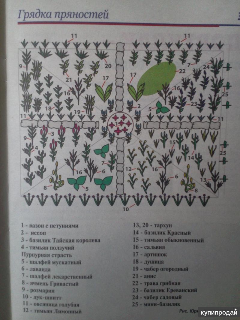 Журнал садовода образец