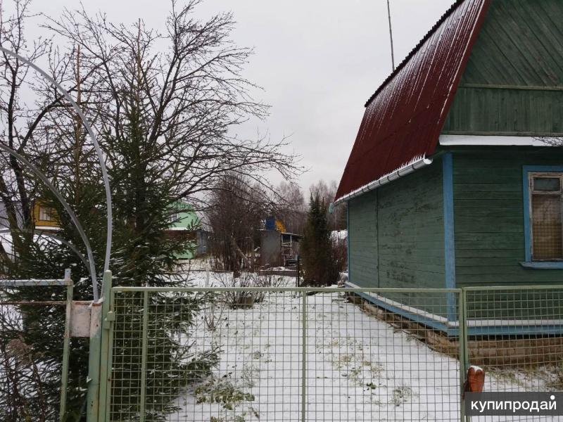 Дача В Нижегородской Области Купить С Фото