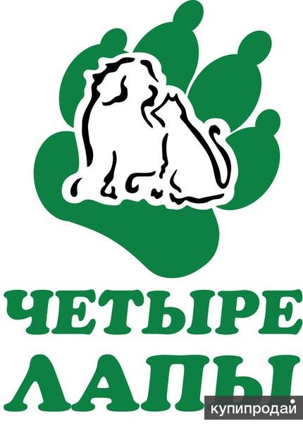 4 Лапы Магазин Товаров Для Животных