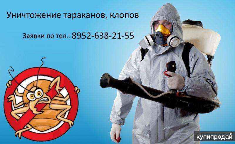 Уничтожение КЛОПОВ, ТАРАКАНОВ …