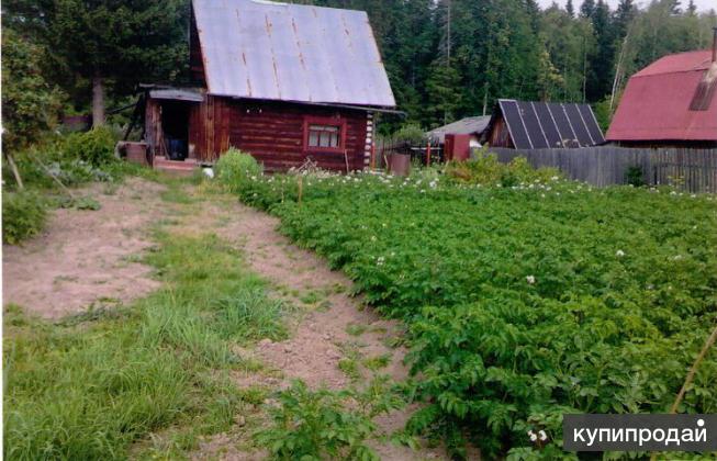 Купить Дачу В Орджоникидзевском Районе Гайва