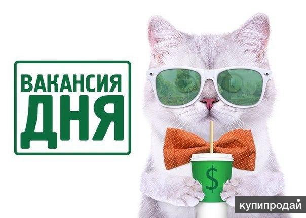 Помощник руководителя