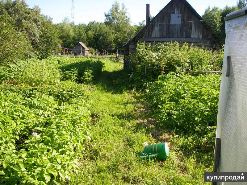 Ермолино новгородская область фото