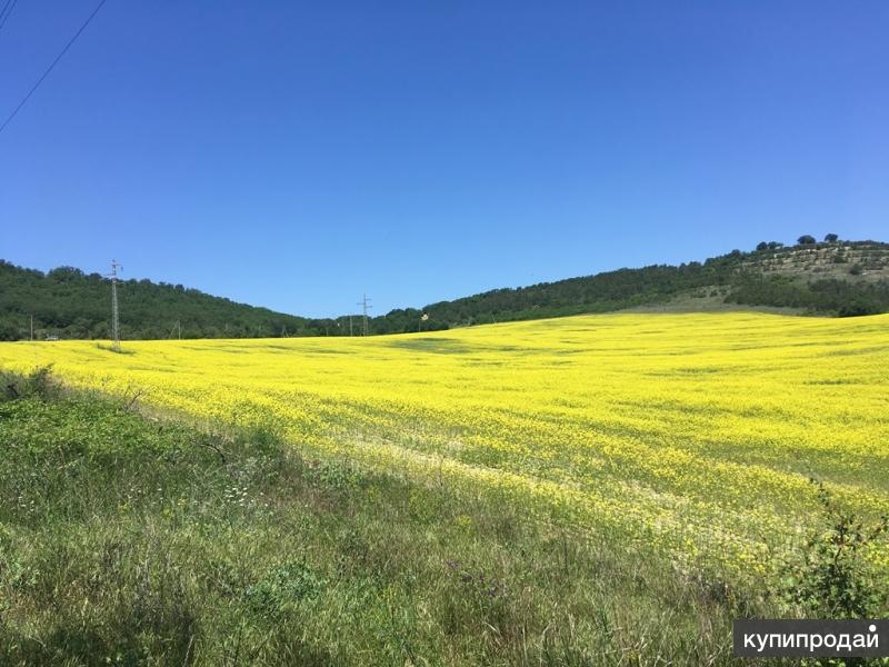 Купить Сено В Бахчисарайском Районе