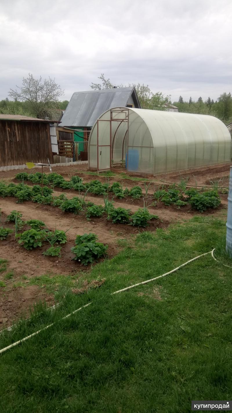 Купить Огород В Ижевске Массив Монтажник