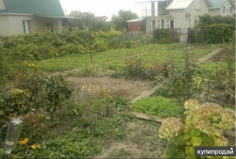 Дачи шалово. Микрорайон шалово луга. Снт шалово. Дачи шалово. Снт гнездышко новоузенская 149.