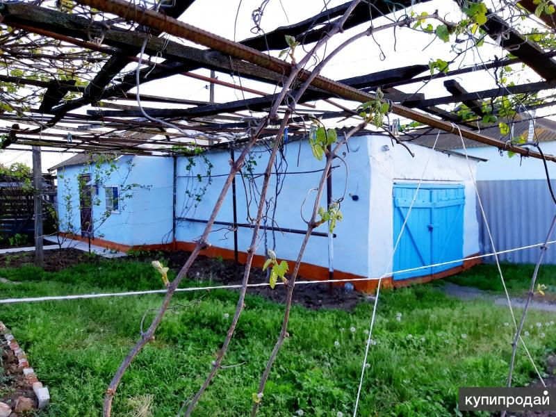 Погода таврический туркменский. Ставропольский край туркменский район поселок. Поселок Новокучерлинский Ставропольский край. Ставропольский край поселок Таврический. Туркменский район,пос.Новокучерлинский.