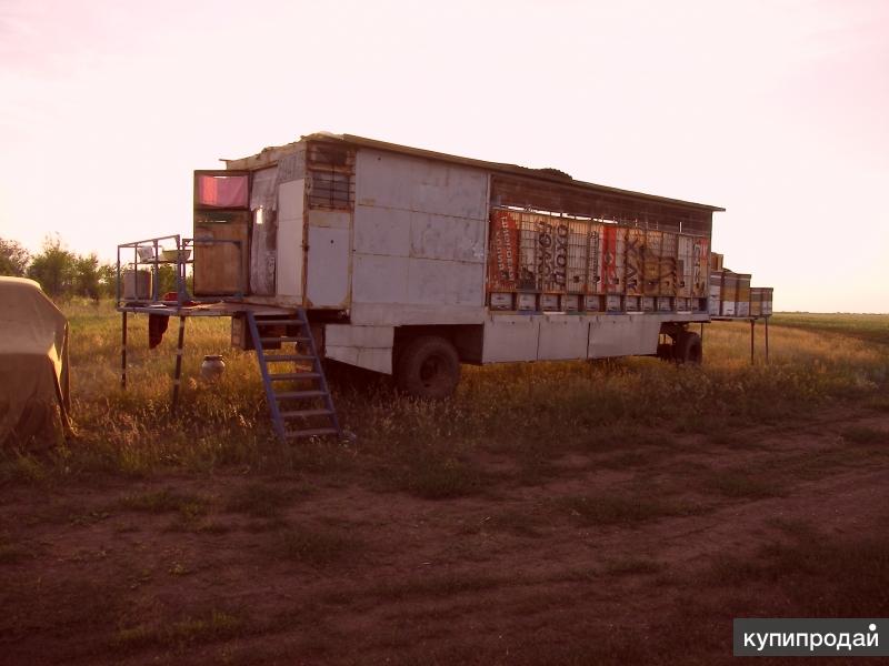 Купить Пчеловодческий Прицеп В Краснодарском Крае