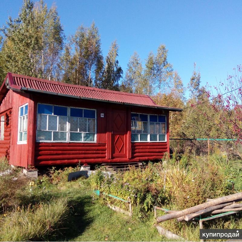 Дача В Ленобласти Купить Тосненский Район