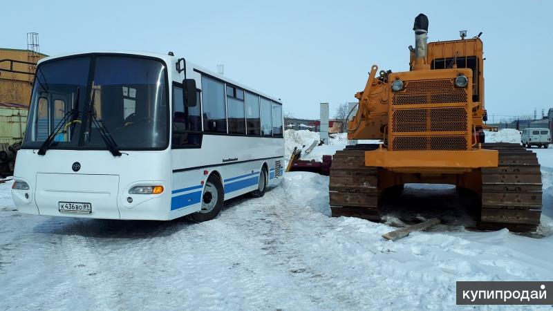 Автобус кавз аврора фото