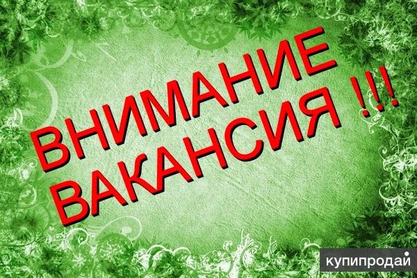 ИНТЕРНЕТ-АДМИНИСТРАТОР