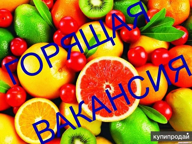 МЕНЕДЖЕР ПО ПРОДАЖАМ УДАЛЕННО
