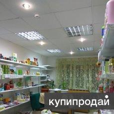 Продажи Магазина Сургуте
