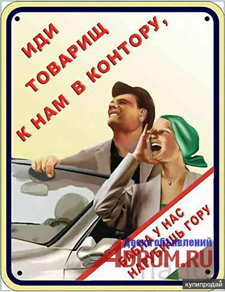 Картинка о работе прикольная, красивые букеты полевых