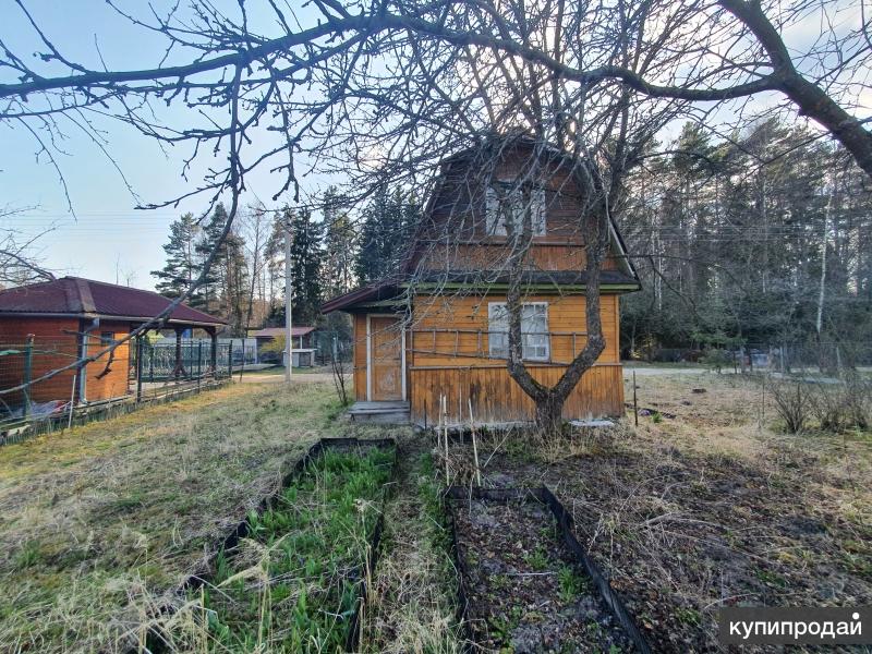 Конаковский Мох Купить Дачу Снт