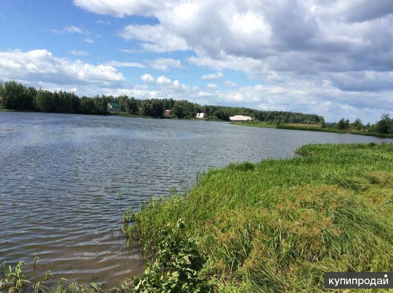 Купить Участок Юрково Сокольский Район Нижегородская Область