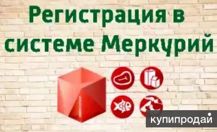 Меркурий регистрация. Регистрация в системе Меркурий. ФГИС Меркурий регистрация. Регистрация в системе Меркурий для ИП. Меркурий регистрация для ИП.