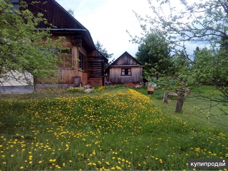 Станция чайковского пермский край. Погода ст чайковская нытвенский. П. Оськино нытвенский район пермский край. Пермский край нытвенский район станция чайковская.