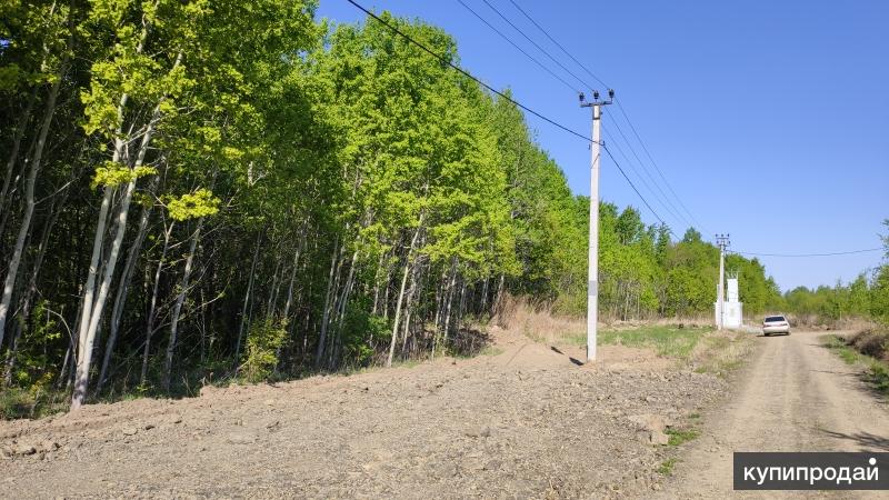 Продам участок хабаровск. Виноградовка Хабаровск. Земельные участки Хабаровск. Село Виноградовка Приморский край.