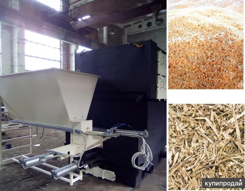 Переработка древесины в бумагу. Крупные опилки. Опилки. Опилки старые. Опилки стружка.