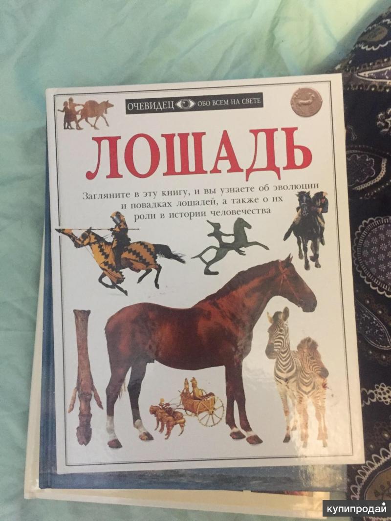 Книги про конни