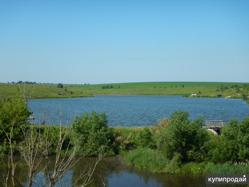 Боринское водохранилище. Гудовка Липецкая область. Село Гудовка Липецкой области. Пруд в селе Гудовка.