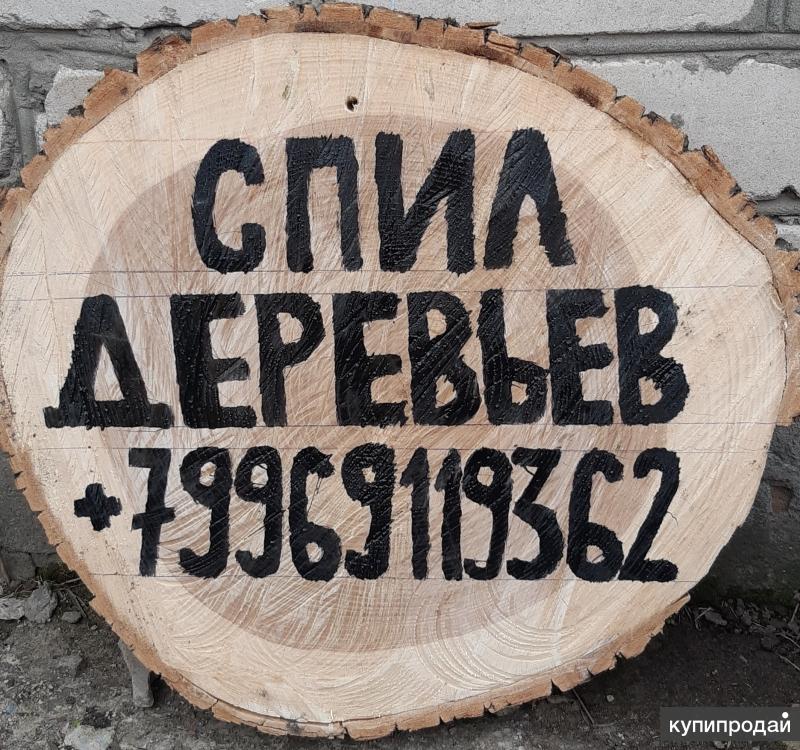 Спил деревьев рязань