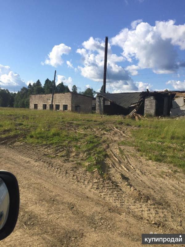 Погода в колпаковке шалинского