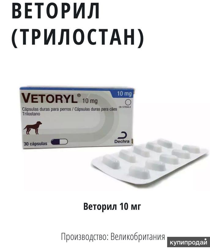 Vetoryl 60 Mg Купить