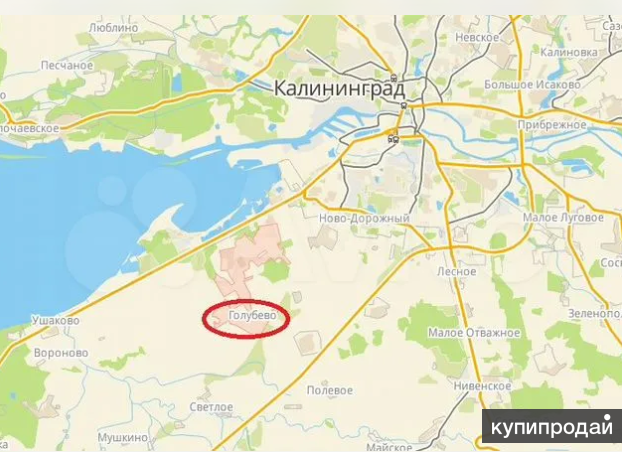 Автобус фото. Посёлок ласкино калининградская область на карте. Маршрут в калининград. Калининград голубево автобус. Калининград ласкино карта.