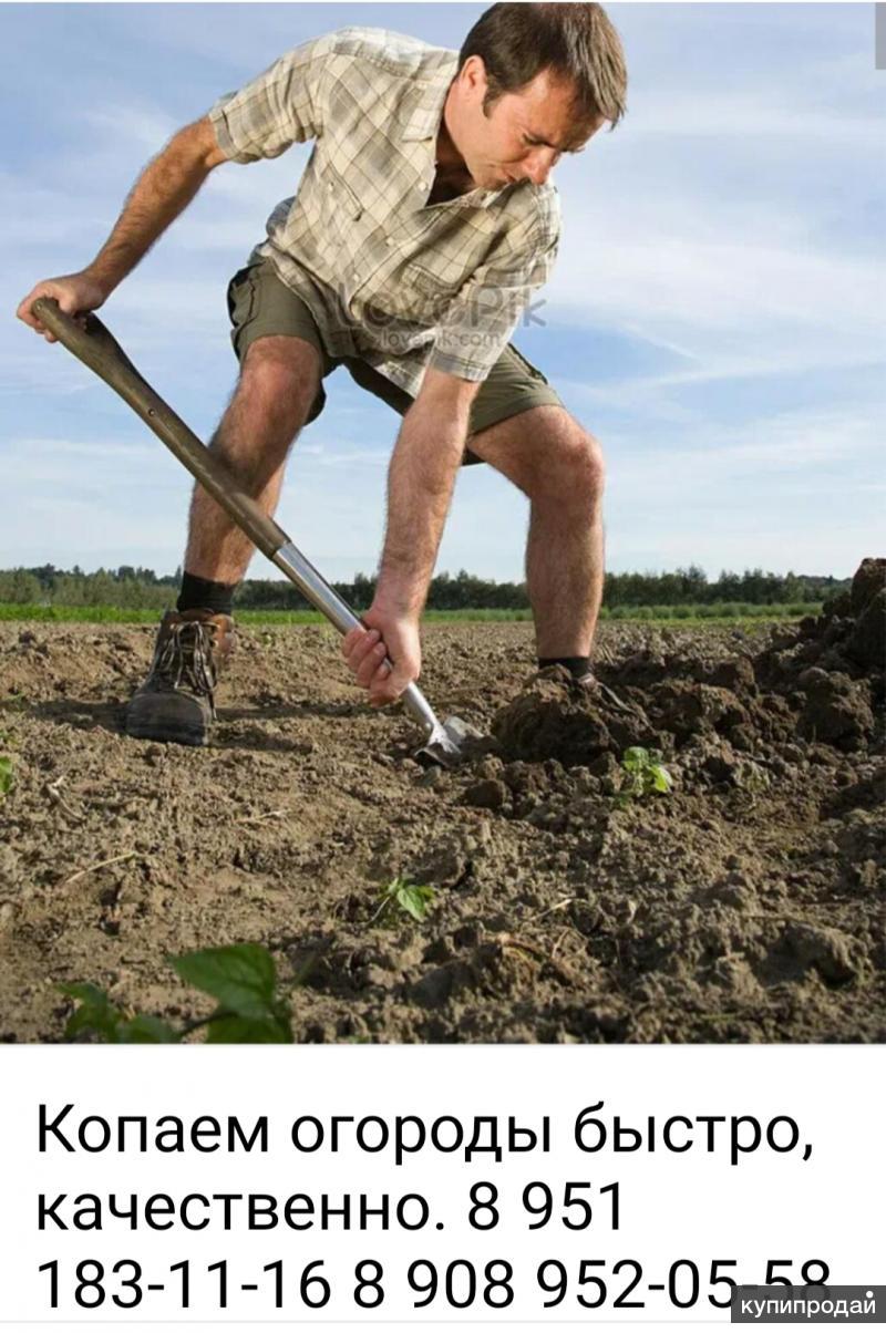 Is he digging. Человек копает. Человек копает землю. Копать огород. Копка огорода.