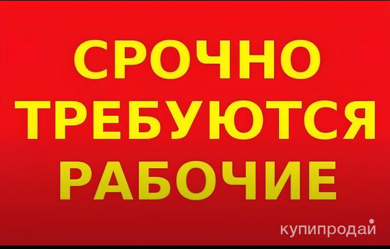 Разнорабочий, работа в ИП Чиреев Евгений Юрьевич в Уссурийске - вакансии на ФарП