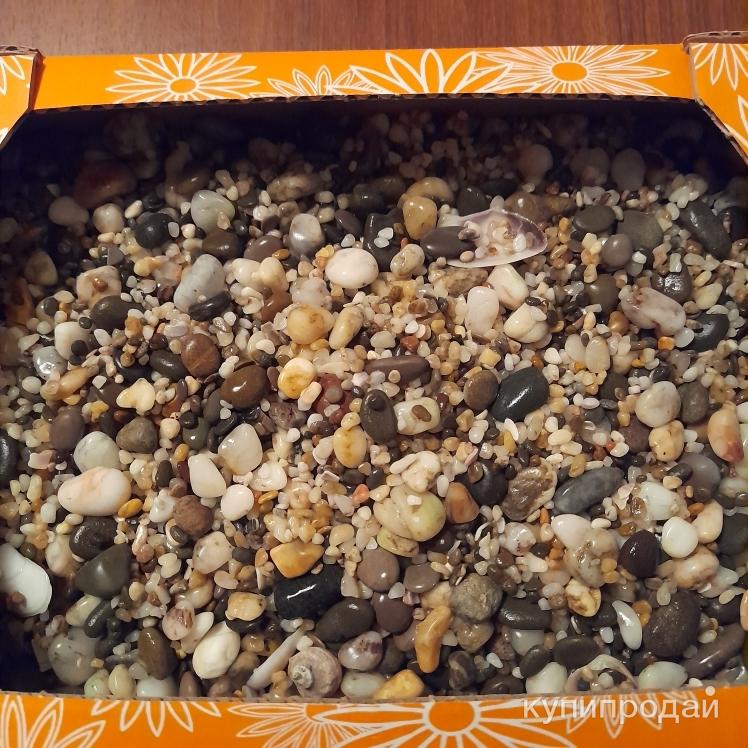 Аквариум 50 литров в Москве