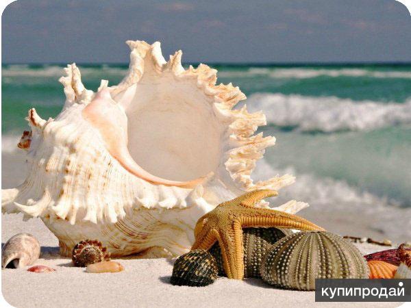 ТУРЫ В ЛЮБЫЕ СТРАНЫ МИРА!