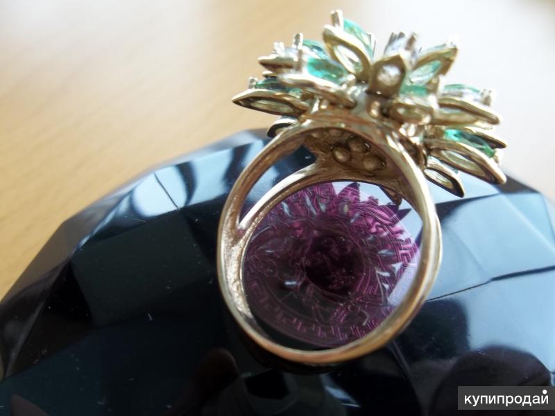 Хризантема перстень королевы фото и описание